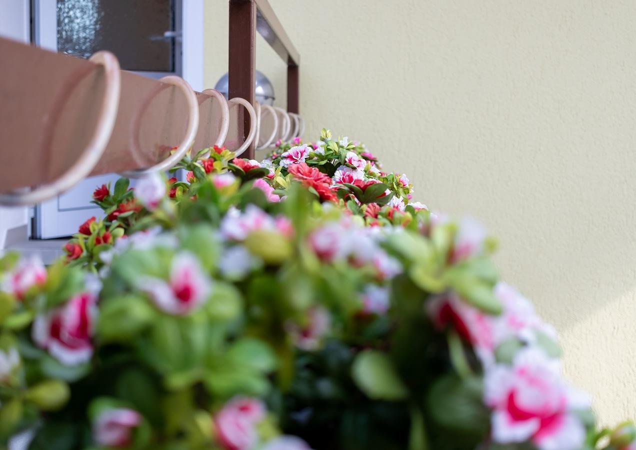 Zum Ostseestrand Apartment *